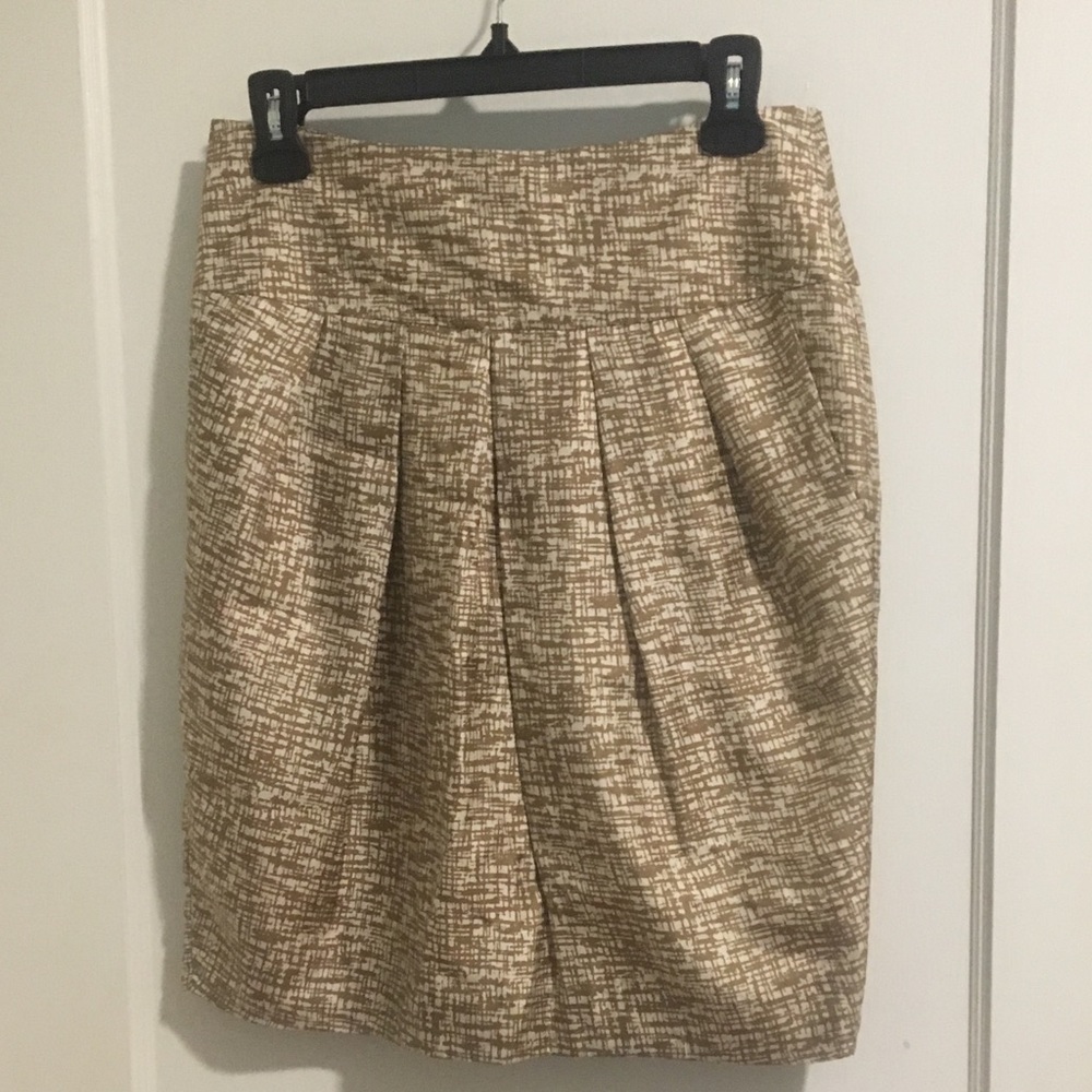 Banana Republic Skirt